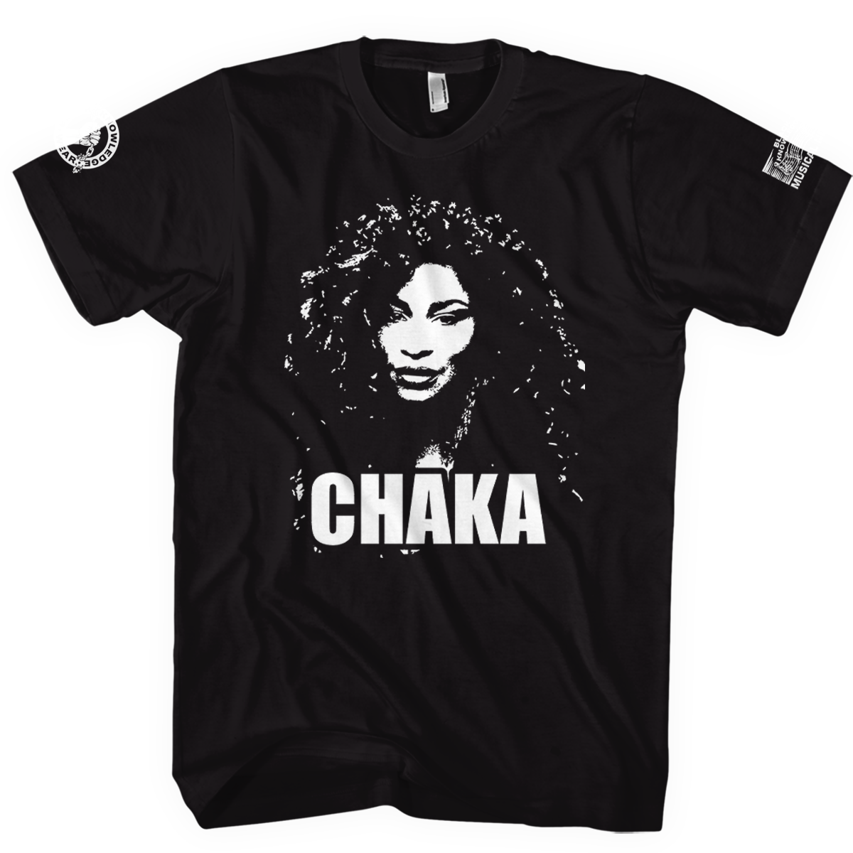 Chaka Khan – I'm Every Voice - Image 3