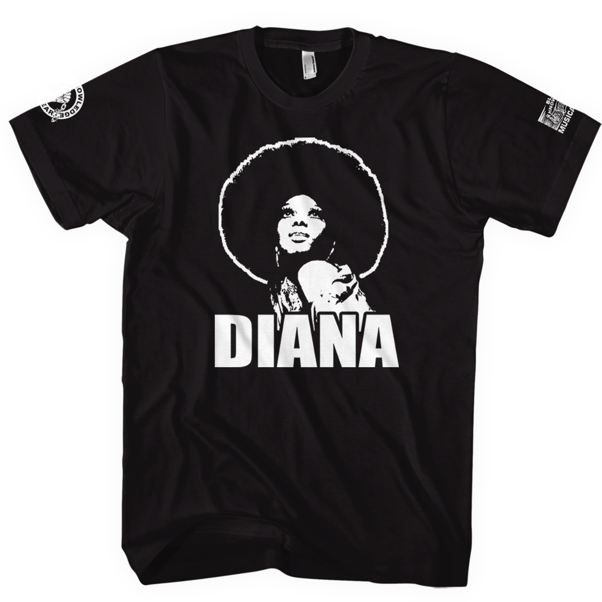 Diana Ross – Supreme Icon - Image 3