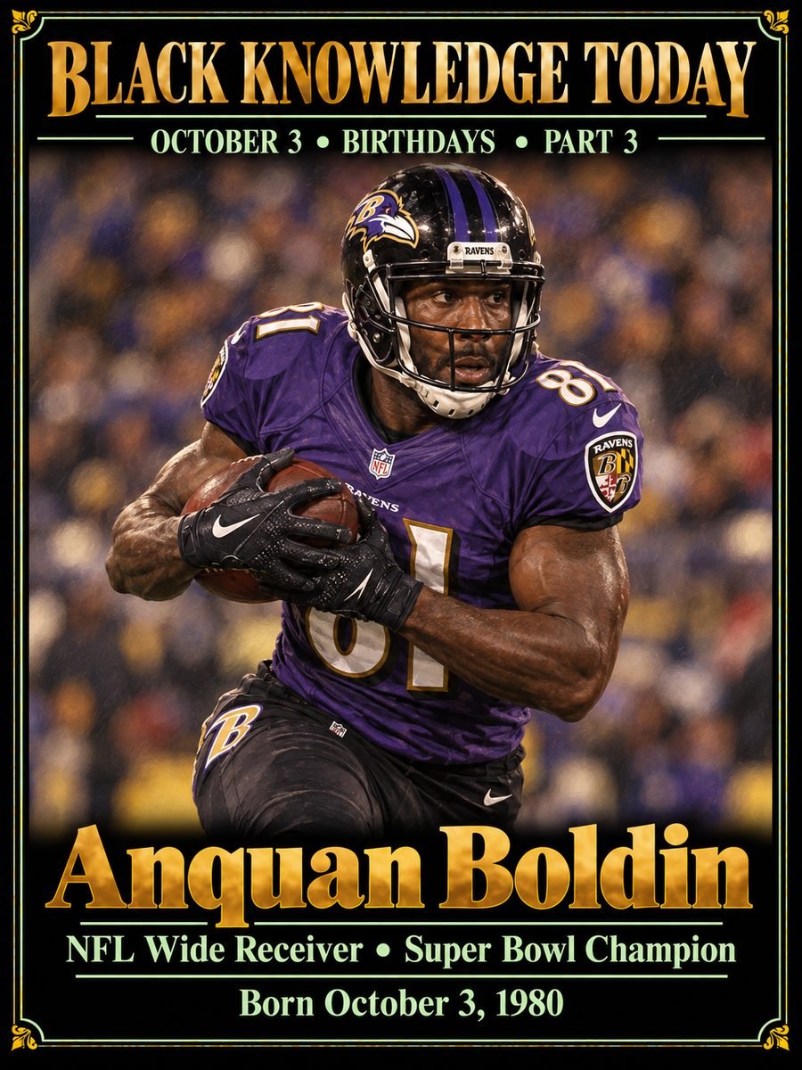 Anquan Boldin